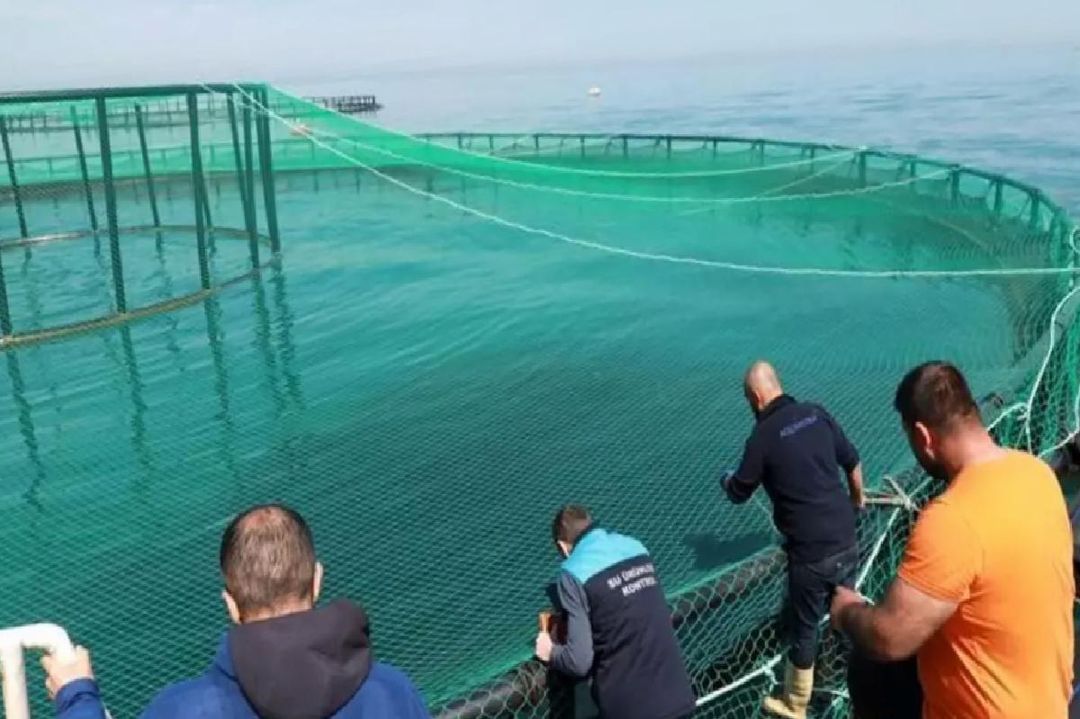 Trabzon’da Türk Somonu Stok Denetimi