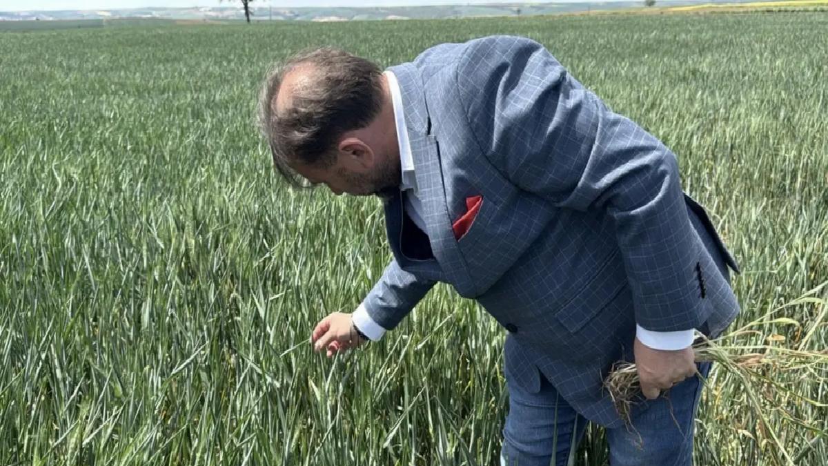 Trakya’da Kuraklık Tehlikesi