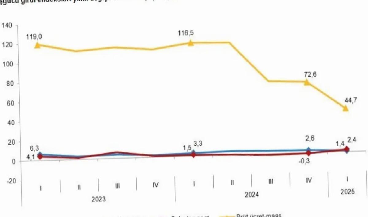 TÜİK 2025 İş Gücü Verilerini Açıkladı