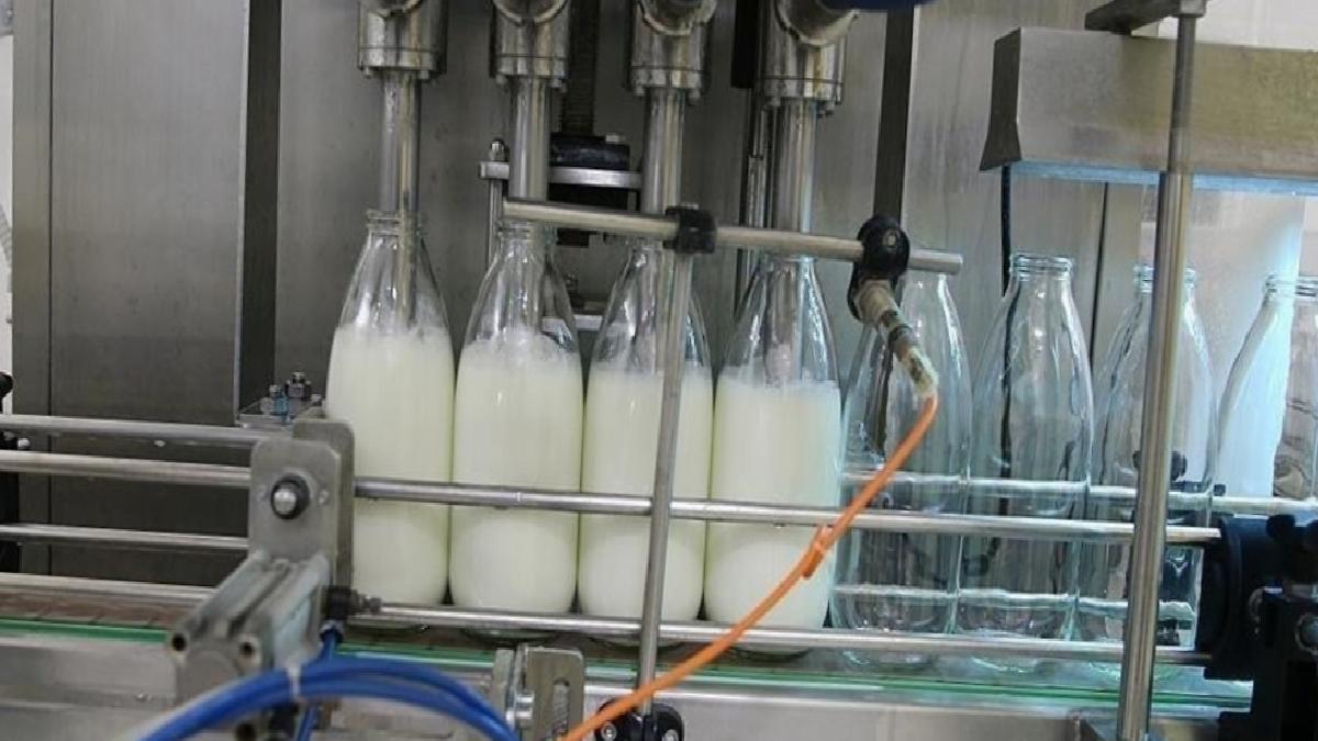 TÜİK açıkladı: Mart ayında ticari süt toplama oranı yüzde 13 arttı