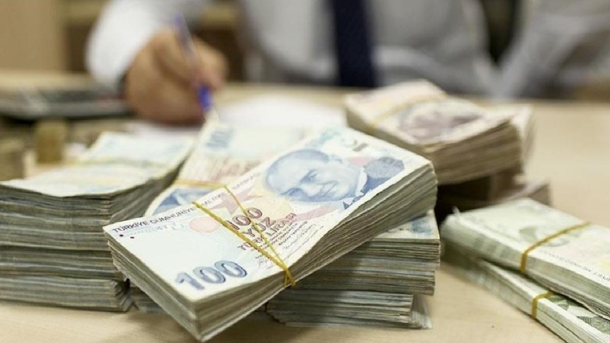 Türk Lirası’nı destekleyecek yeni adımlar