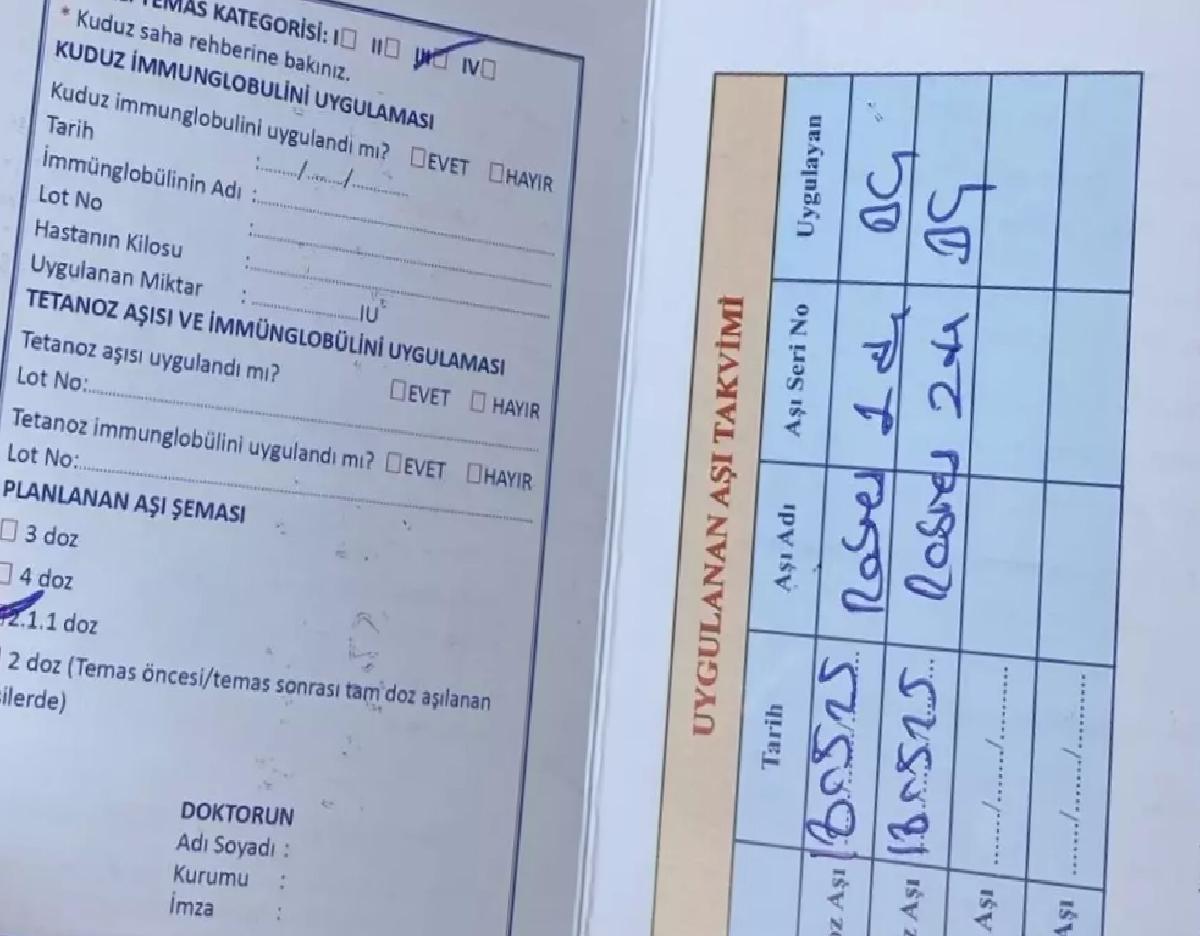 Üniversite Öğrencisi Sokak Köpeklerinin Saldırısına Uğradı