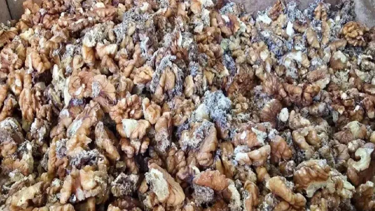 Urfa Yörem Baklavaları’nın Bozuk Ceviz Krizi: 11 Ton mu 3 Ton mu?