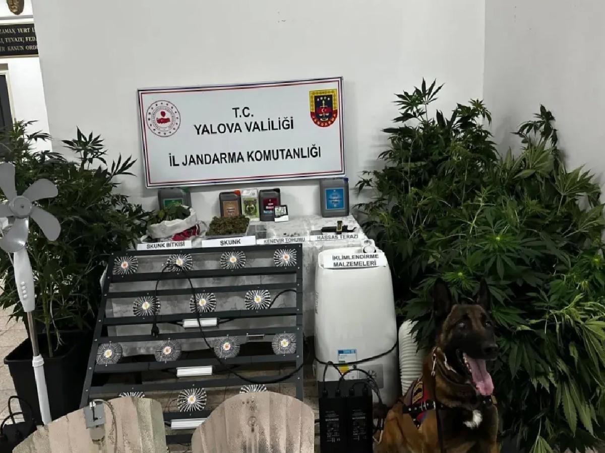 Uyuşturucu İmalatçısı Tutuklandı