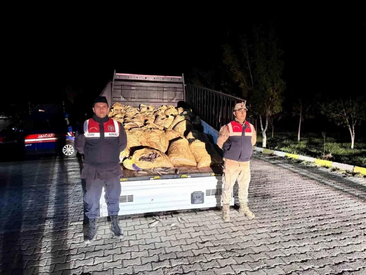 Van’da Kaçak İnci Kefali Operasyonu
