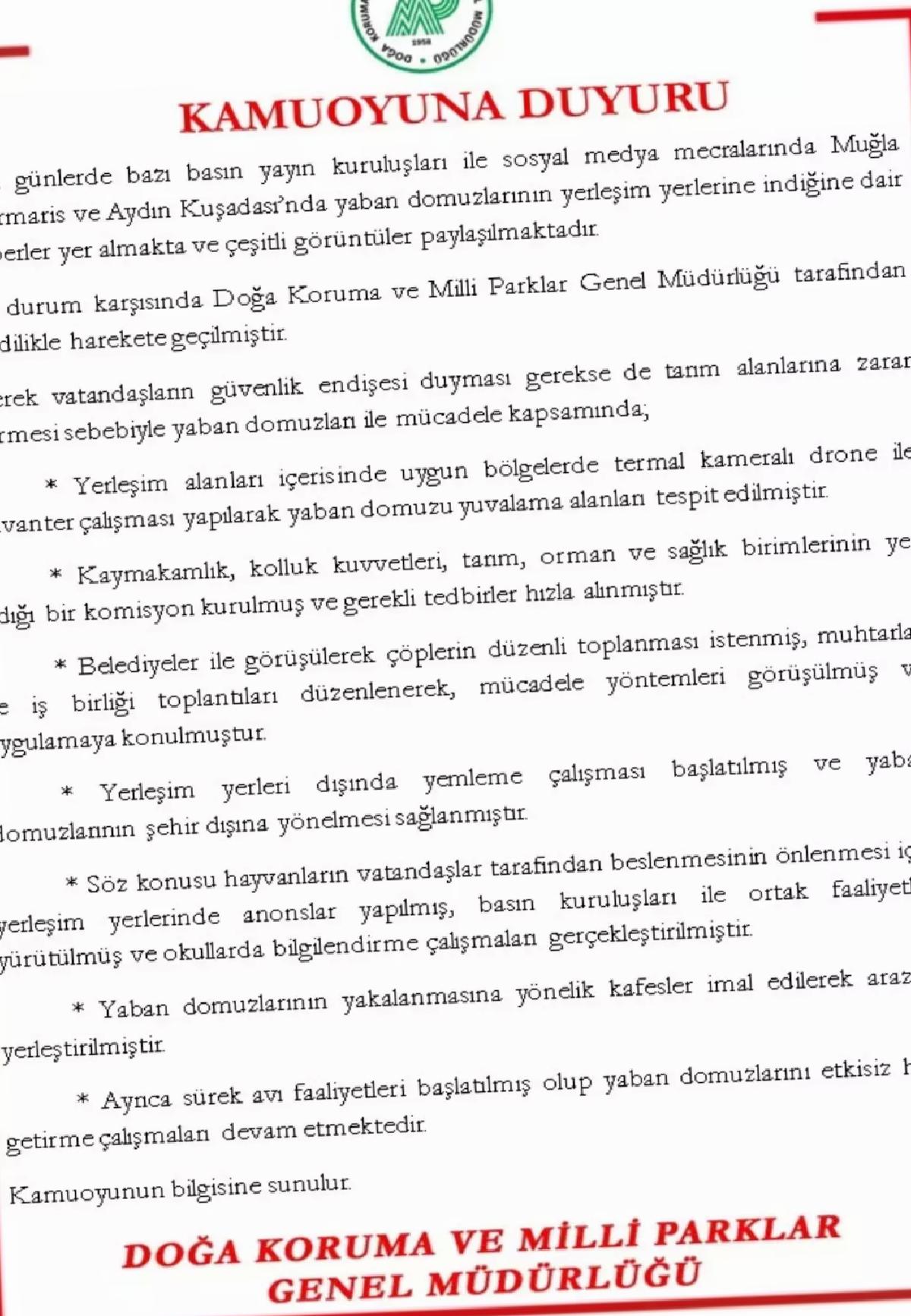 Yaban Domuzlarıyla Mücadele Başlatıldı