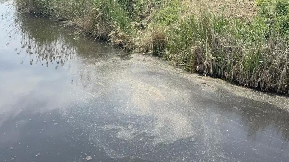 Yalova’da Kanalizasyon Cezası