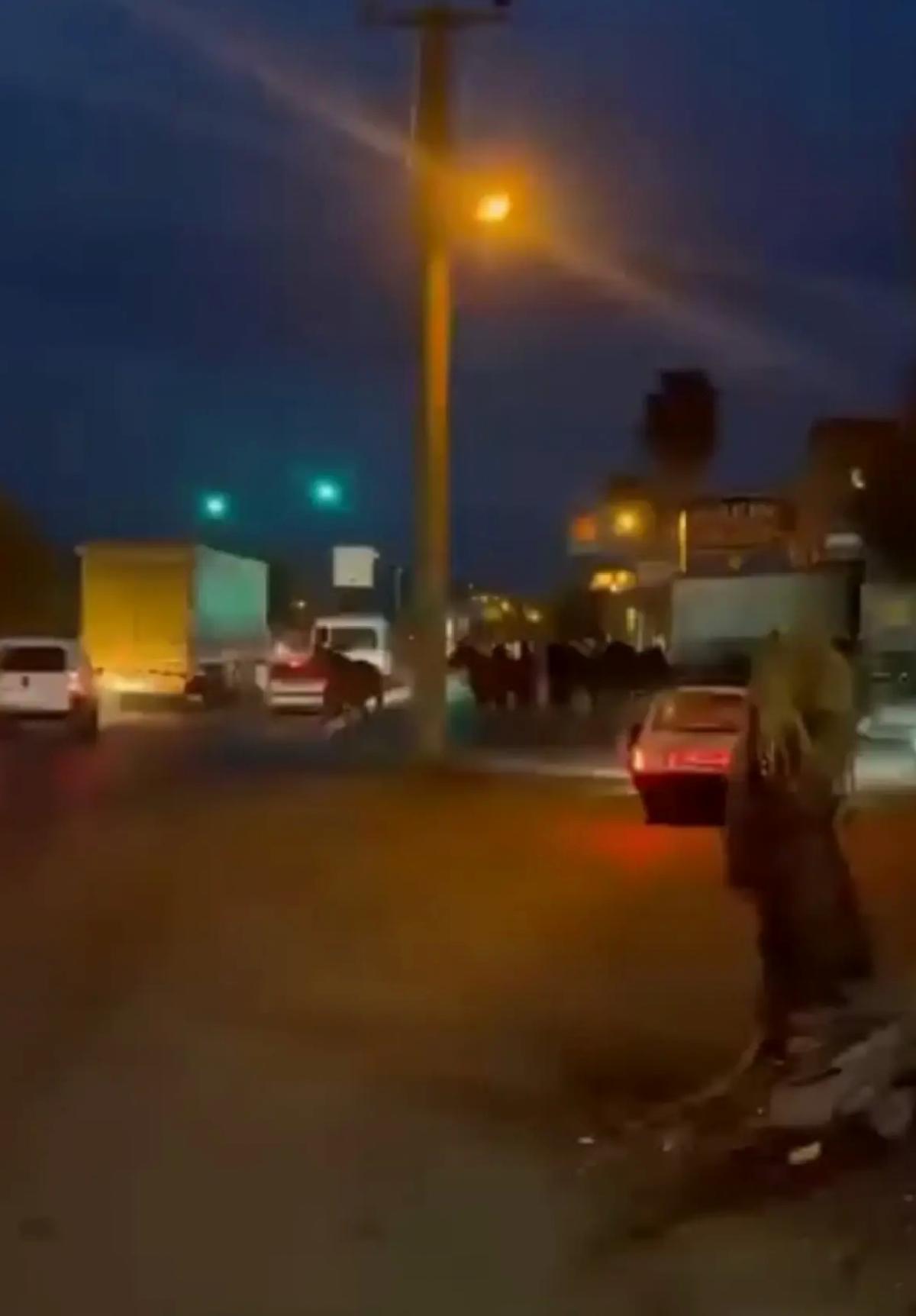 Yarış Atları D-400’de Koştu