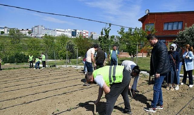 Yaşam Bahçesi yaza hazır