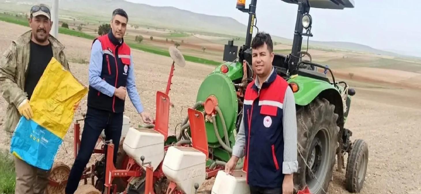 Yerli Tohumların Yaygınlaştırılması