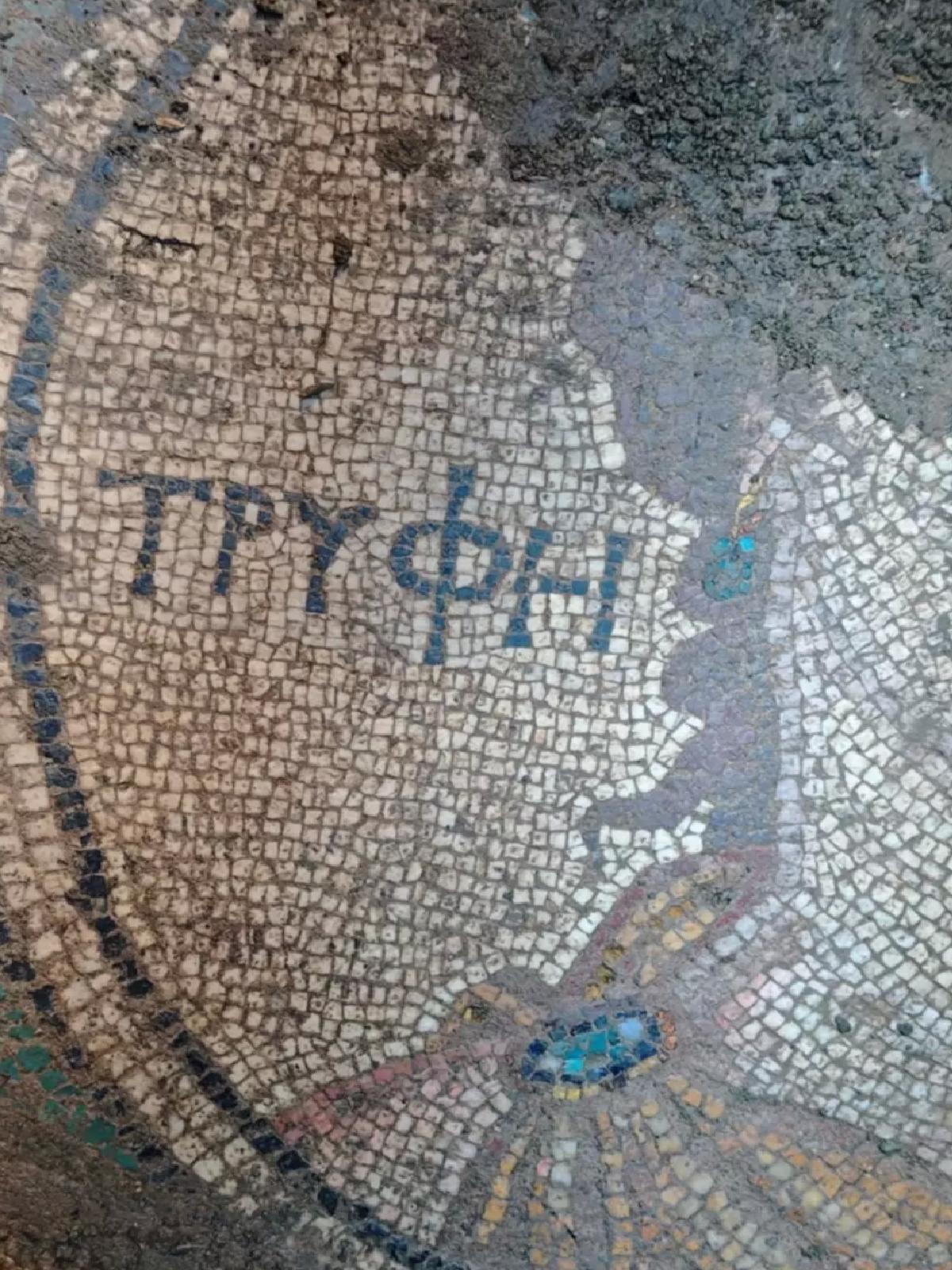 Zile’de Kaçak Kazıda Roma Mozaiği Bulundu