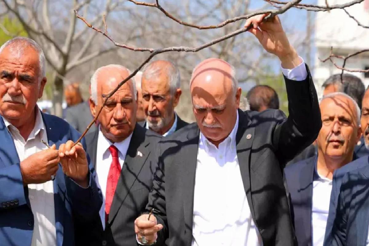 Zirai Don Felaketi Meyve Bahçelerini Vurdu